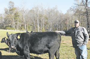 Goforth Angus: A rising registered Angus brand