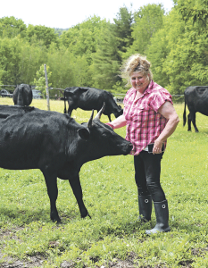 The queen of Kerry cattle