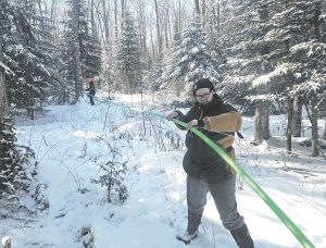 Tubing essential to scaling up commercial maple production