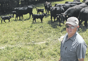 Rippey’s rises by raising premium replacement Balancer heifers