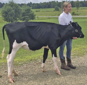 Wyoming County 4-H youth wins a calf