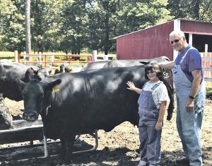 DNA technology a powerful tool for small-scale beef producer