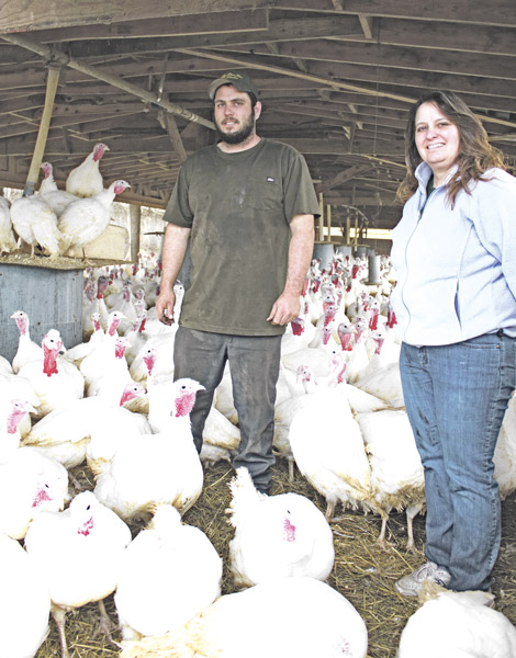 Building a farm business around Thanksgiving