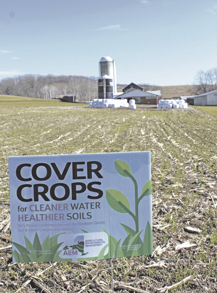 Cover crop plantings continue to increase