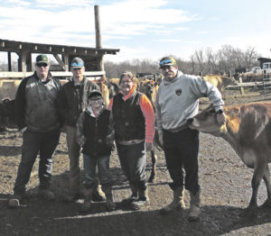 Dusty Road Jersey Farm forges ahead