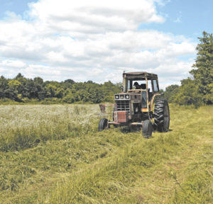 Estimating winter hay needs