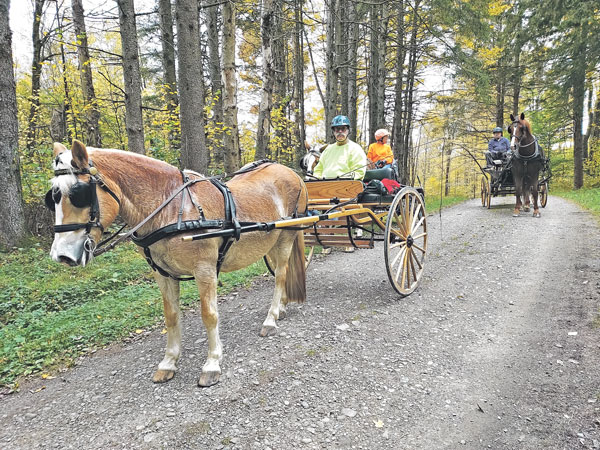52nd annual NYS Horse Council Brookfield Trail Ride
