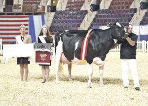 NY, MD cows top All-American  Dairy Show Supreme Pageant