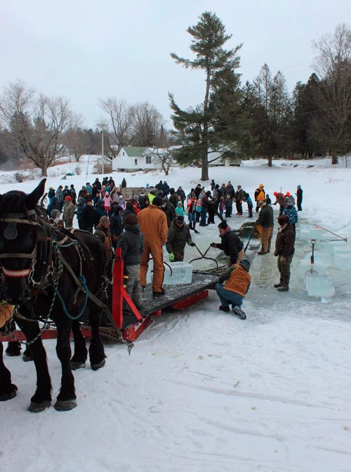 Ice Harvest is cool way to preserve local tradition
