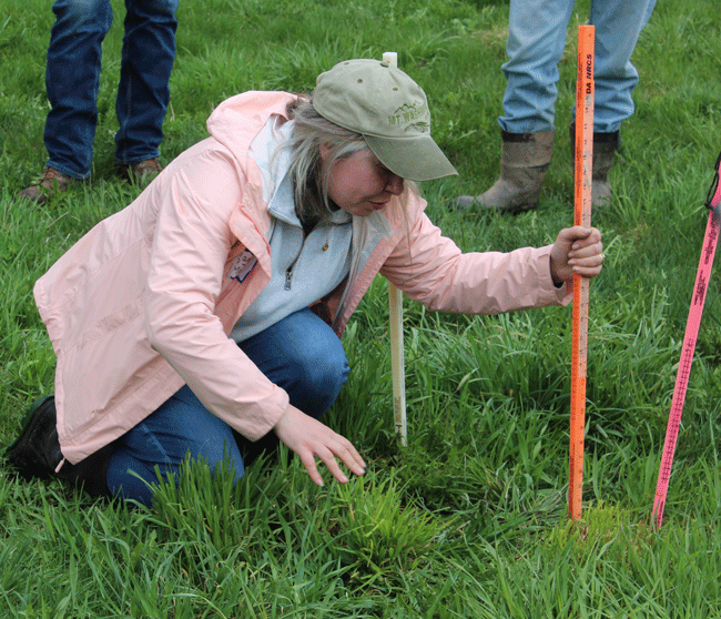 Plan-to-pasture training delivers hands-on results