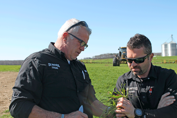 Cox Brothers Farms succeeds by going back to basics
