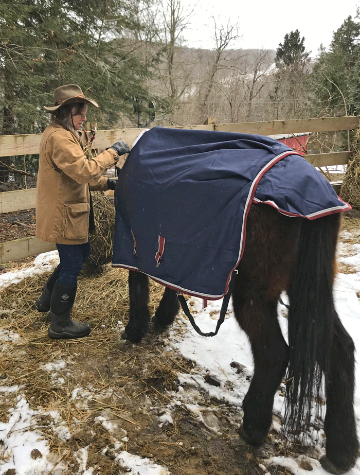 Horse Tales: Getting Ready for Winter