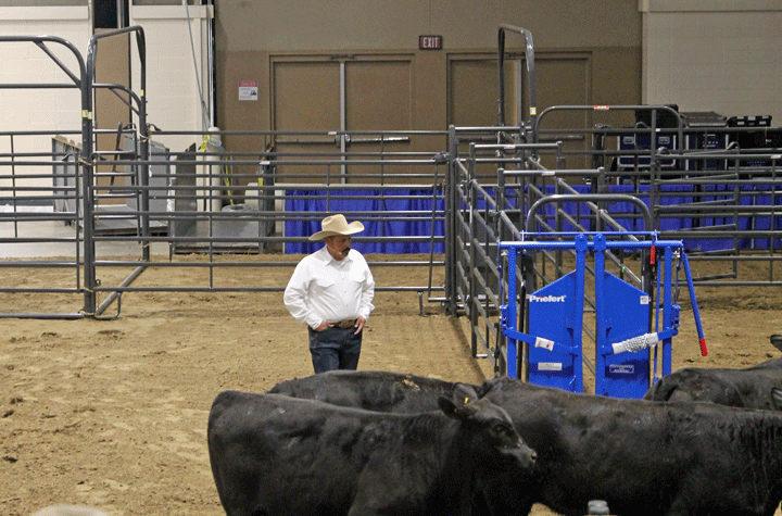 Highlights from the 2023 National Cattle Convention