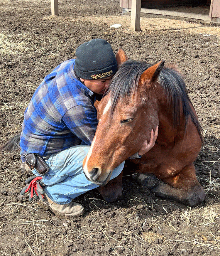 Horse Tales: 13 Hands Equine Rescue