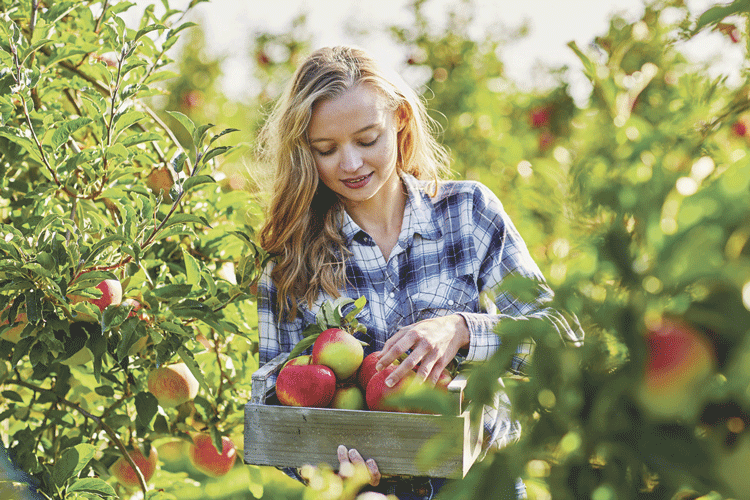 Considerations for agritourism hiring