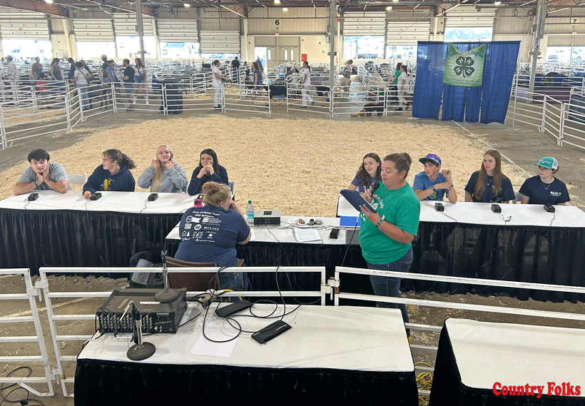 Sharp performances shine at Sheep Quiz Bowl
